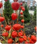 Фото 3 из отзыва Юлия Чичина